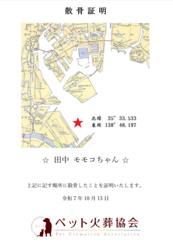 散骨証明書